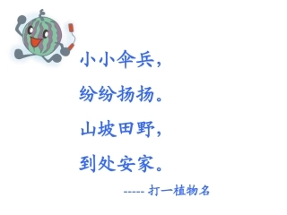 蒲公英课件（网络整合）