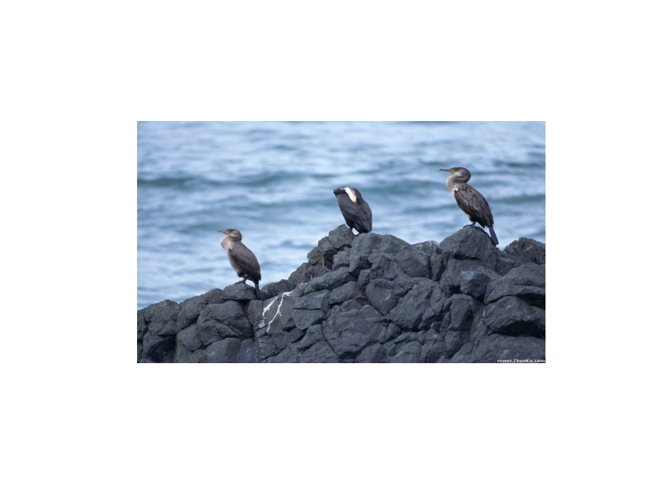 英语：Unit5Vocabulary同步授课课件（译林版八年级上）_第2页