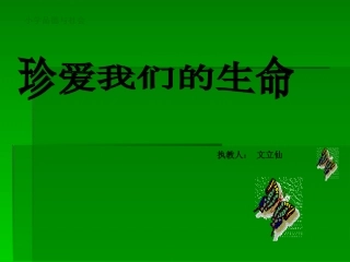 2珍爱我们的生命