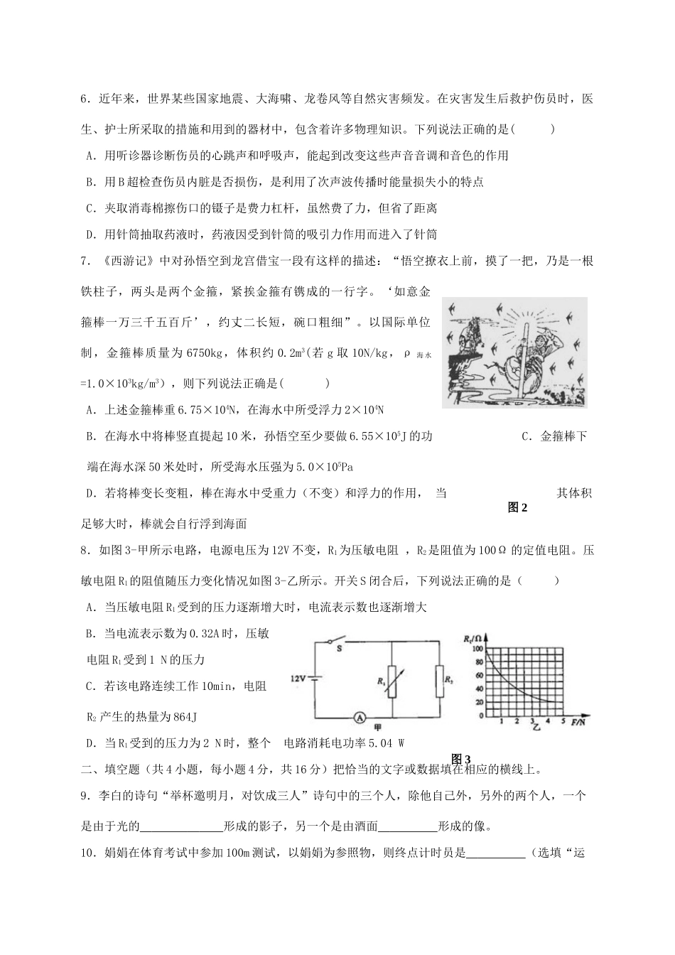 四川省宜宾县届九年级物理下学期期中试卷_第2页