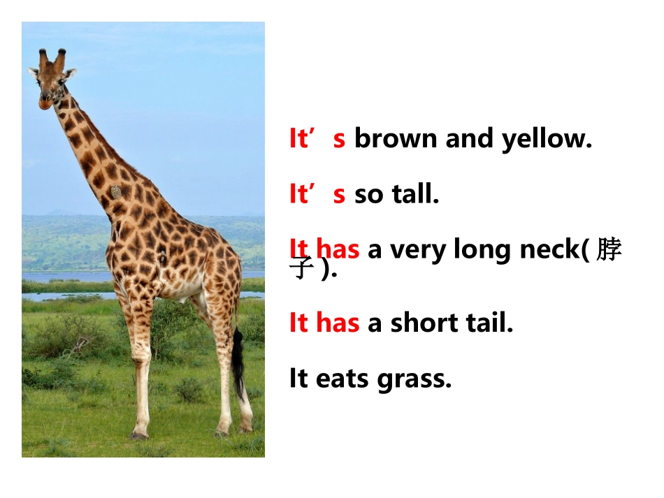 英文绘本教学研究Theoxandthefrog_第2页