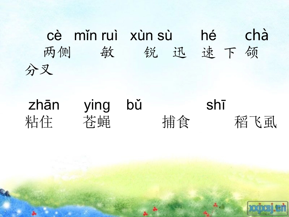 苏教语文二下练习8_第3页