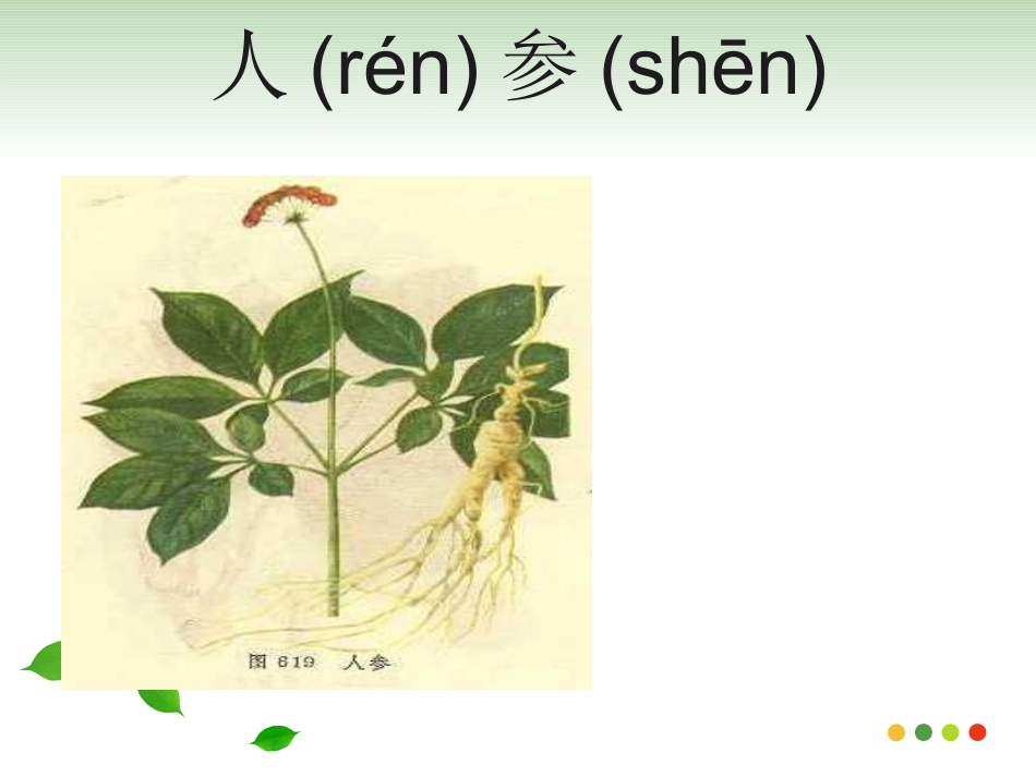 苏教语文四年级下_练习4_第3页