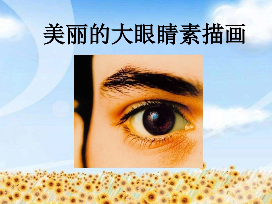 美丽的大眼睛素描画_第1页