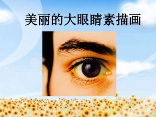 美丽的大眼睛素描画