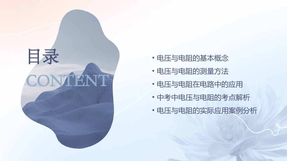 人教版电压电阻中考复习课件_第2页