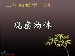 苏教版数学二年级上册《观察物体》课件