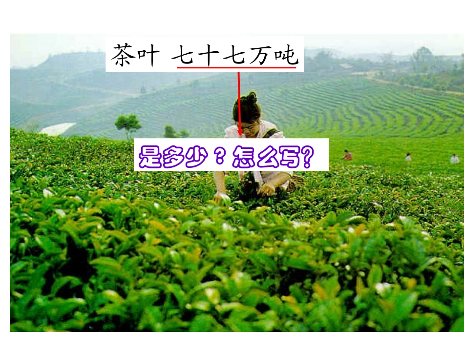苏教版数学《认数（一）》课件_第3页