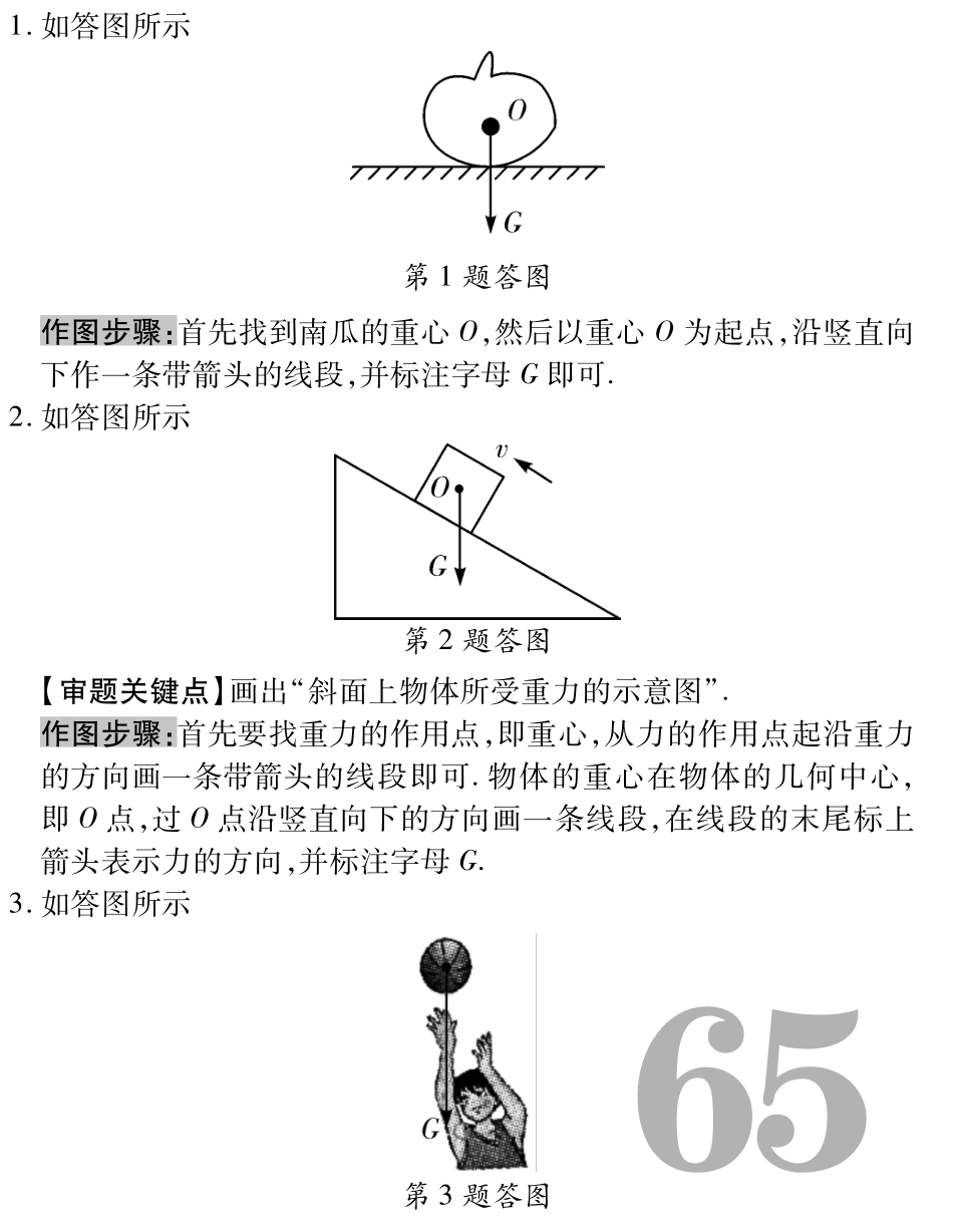 中考物理总复习 知识专题攻略四 力的示意图(pdf)(新版)新人教版试卷_第3页