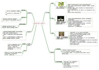 苏教版四年级《珍爱生命》知识树张蕴