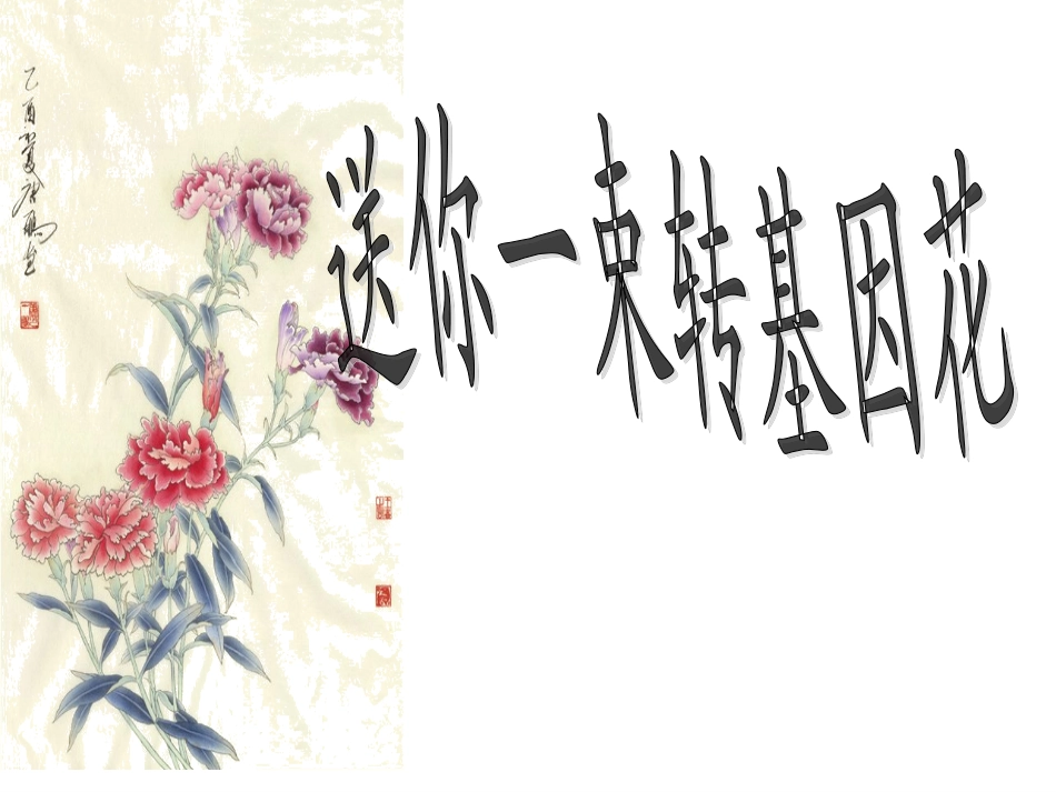 苏教版八年级语文上册第六单元第29课《送你一束转基因花》（共42张PPT）_第2页