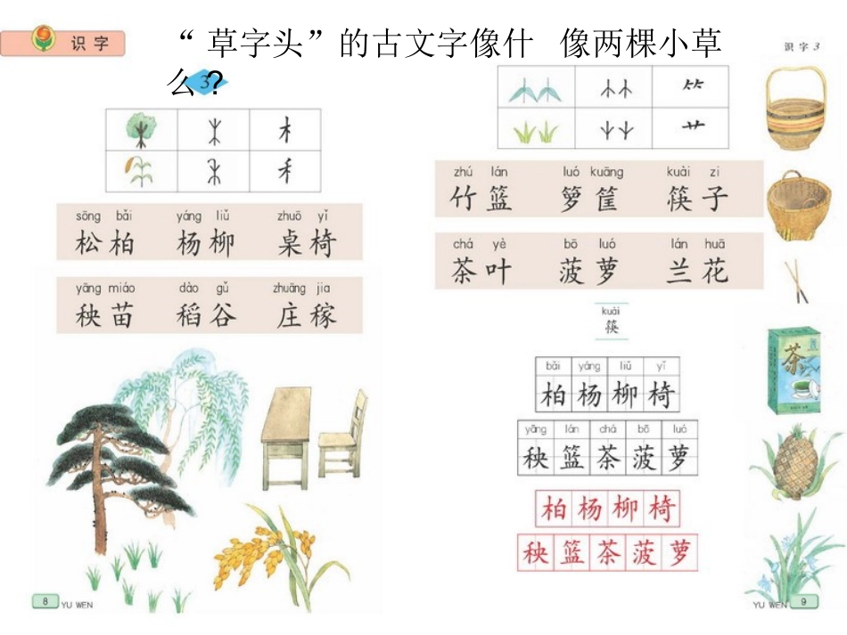 苏教版二年级语文下册《识字3》PPT课件_第1页