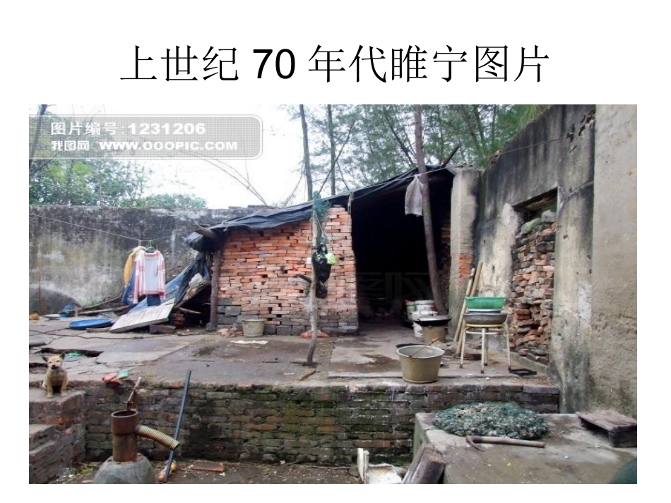 苏教版九年级政治全册1-1感受社会变化_第1页