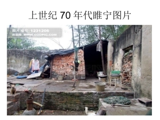 苏教版九年级政治全册1-1感受社会变化