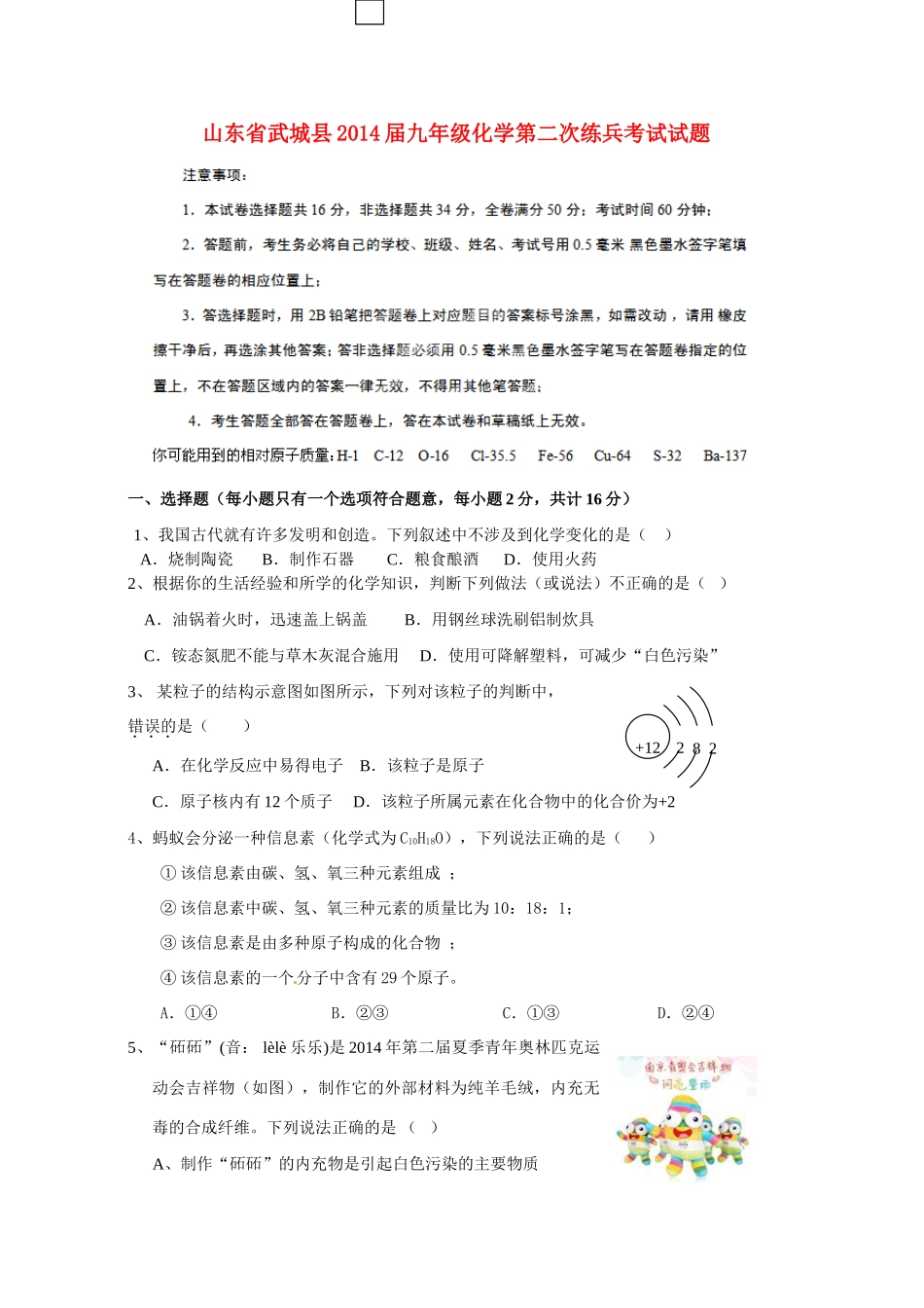 山东省武城县九年级化学第二次练兵考试试卷试卷_第1页