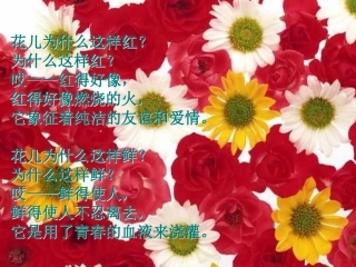 《花儿为什么这样红》第一课时