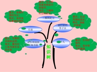 苏七语下第二单元知识树