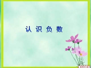 苏五上认识负数（1）