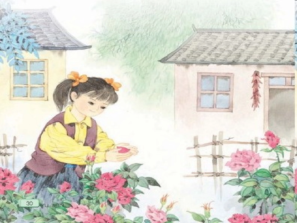 花瓣飘香 (2)_第2页