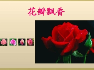 花瓣飘香 (2)