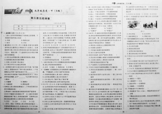 九年级历史下册 第六单元(亚非拉国家的独立与振兴)达标检测卷(pdf) 新人教版试卷