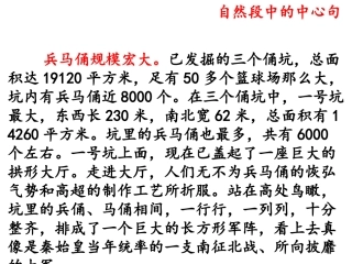 自然段中的中心句