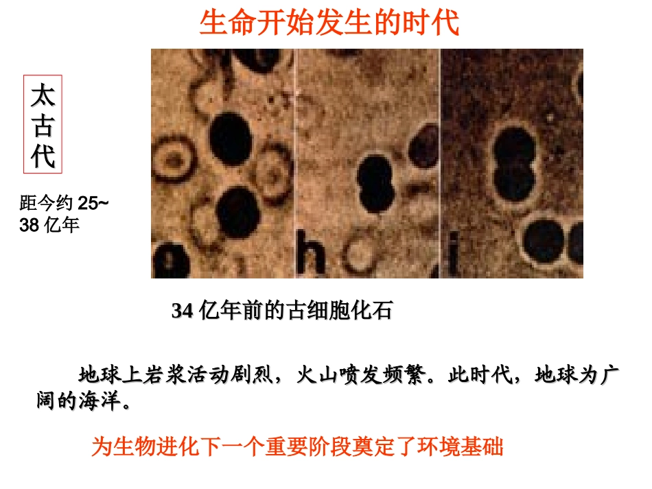 自然地理要素变化与环境变迁_第3页