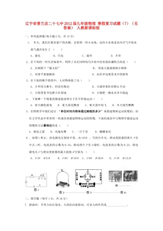 九年级物理 寒假复习试卷(7) 人教新课标版试卷
