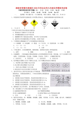 九年级化学模拟考试卷 新课标 人教版试卷
