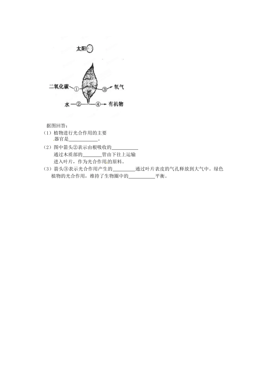 天津市武清区杨村五中七年级生物上学期周清试卷九 新人教版试卷_第2页