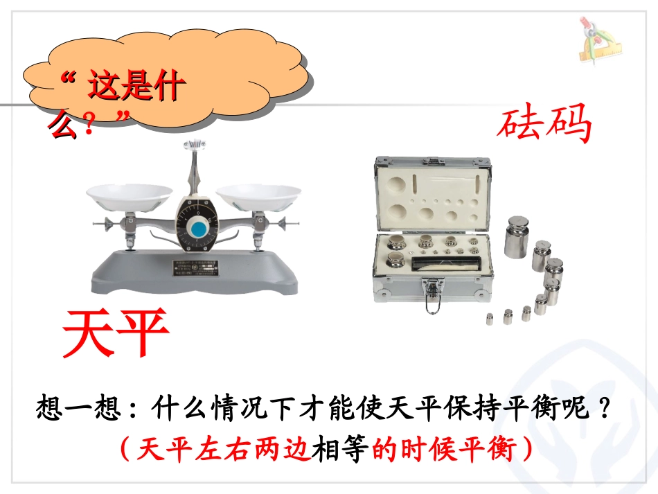 方程和意义PPT_第2页