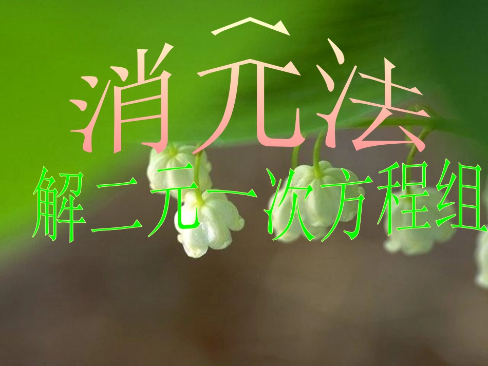 加减法解二元一次方程组-(10)_第1页