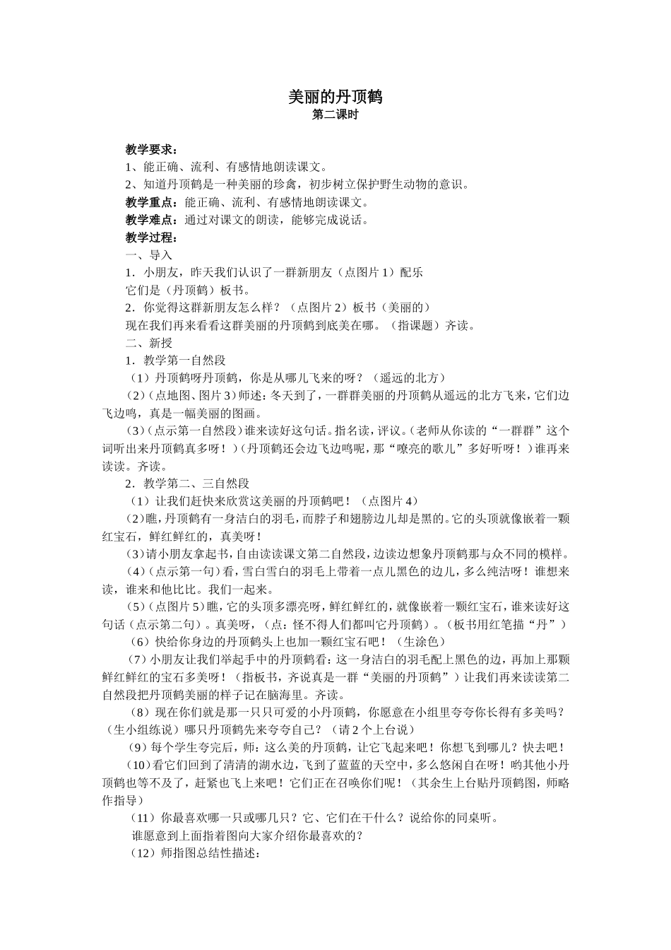 美丽的丹顶鹤第二课时_第1页