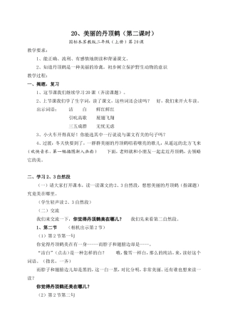 美丽的丹顶鹤 (3)