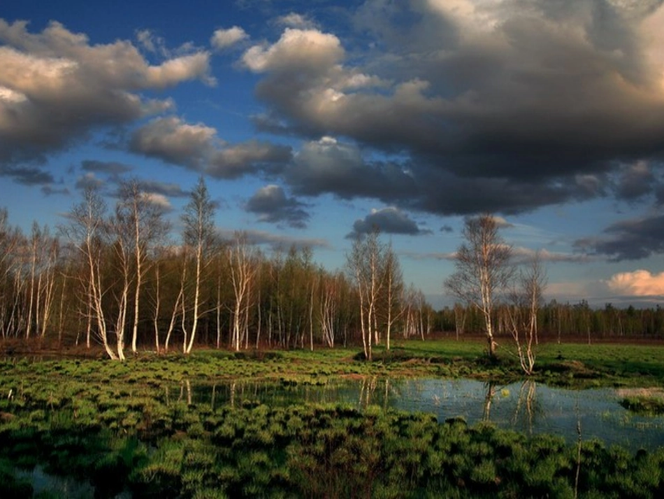 罗布泊 (2)_第1页