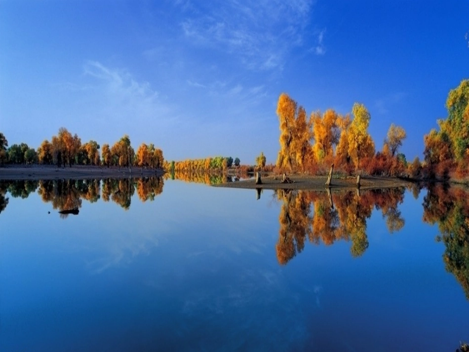 罗布泊消逝的仙湖（安伟）_第3页