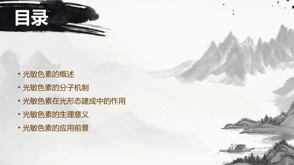 光敏色素与光形态建成课件_第2页