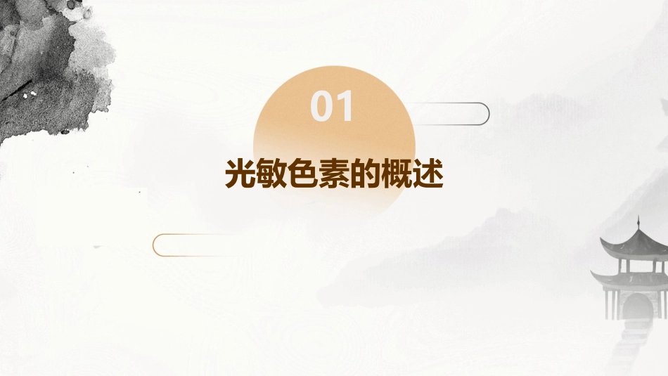 光敏色素与光形态建成课件_第3页