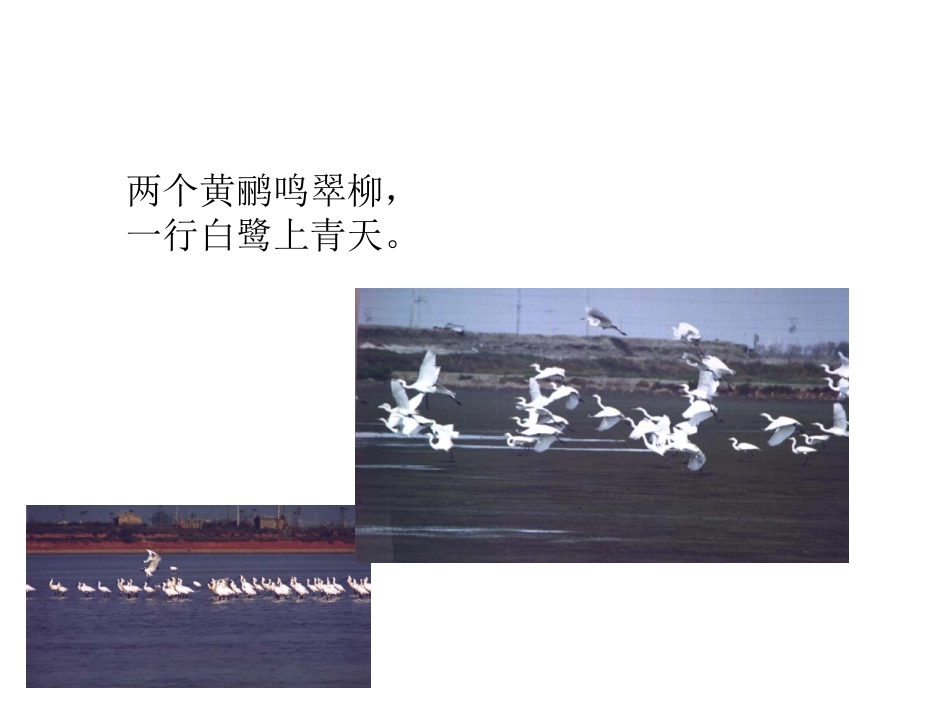 绝句杜甫 (2)_第3页