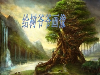 给树爷爷画像课件
