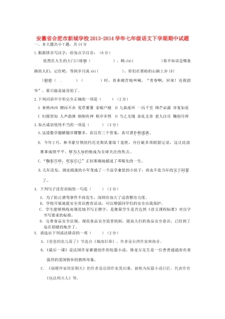 安徽省合肥市新城学校七年级语文下学期期中试卷试卷