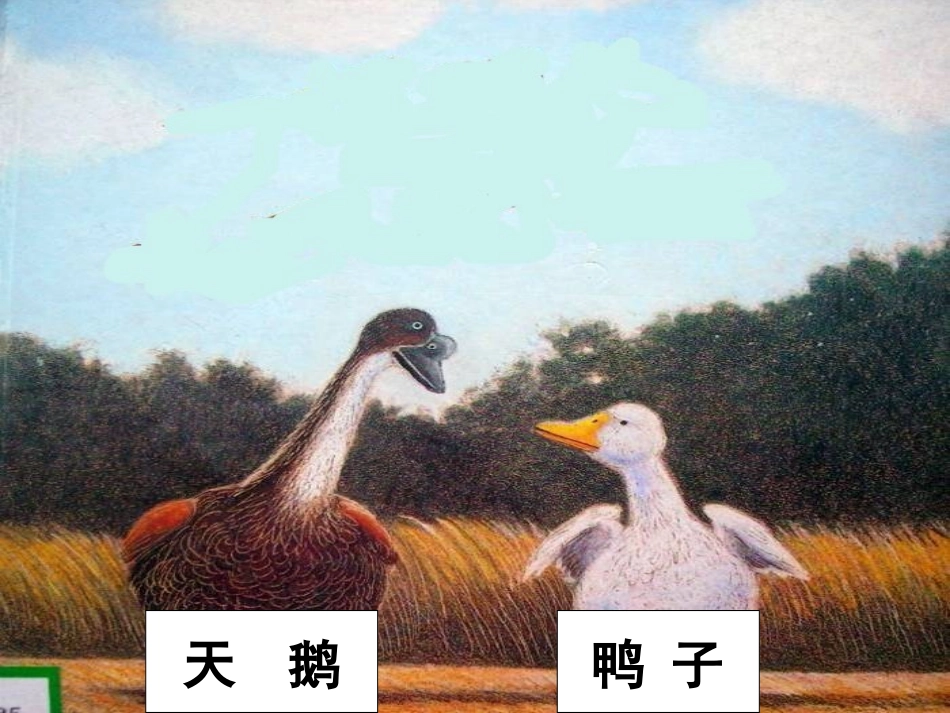 绘本：一根羽毛也不能动_第1页