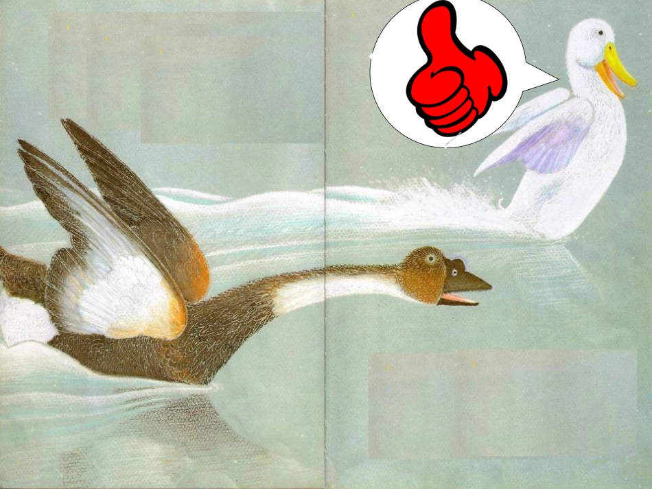 绘本：一根羽毛也不能动_第3页