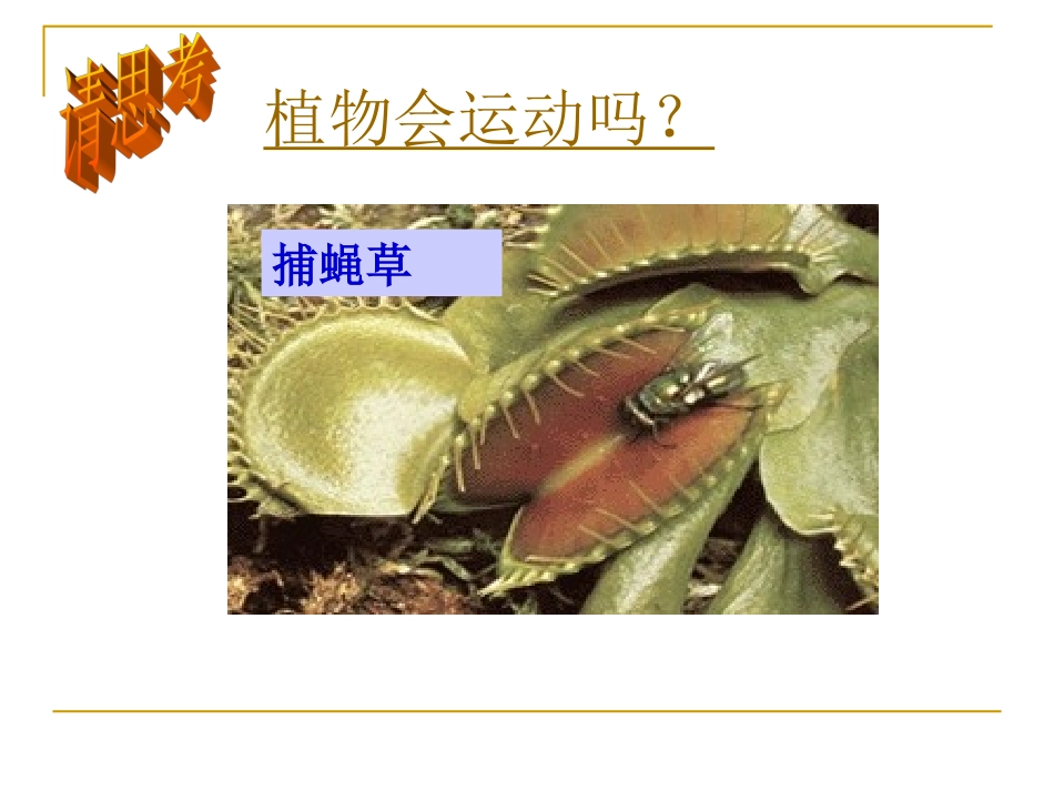 第1节植物生命活动的调节_第2页