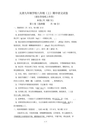九年制学校八年级上期中语文试卷