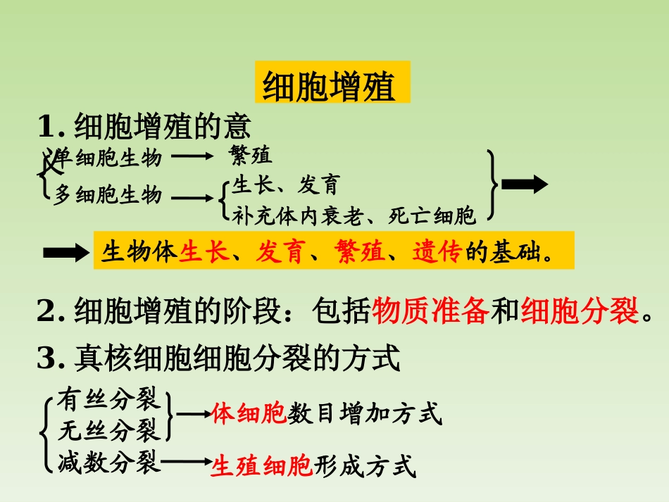 细胞的增殖课件_第3页