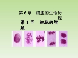 细胞的增殖课件