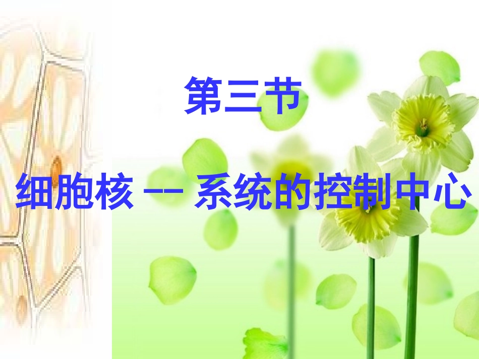 细胞核——系统的控制中心_第1页