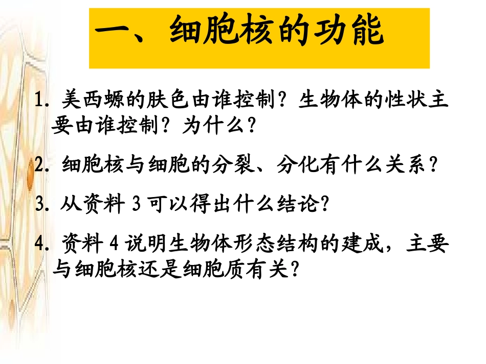 细胞核——系统的控制中心_第3页