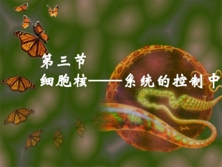 细胞核—系统的控制中心——课件(27)